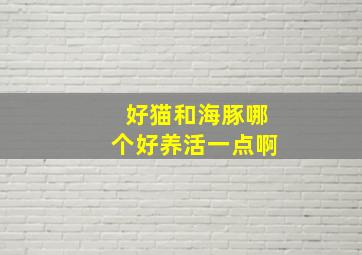 好猫和海豚哪个好养活一点啊