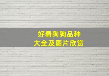 好看狗狗品种大全及图片欣赏