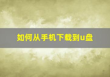 如何从手机下载到u盘