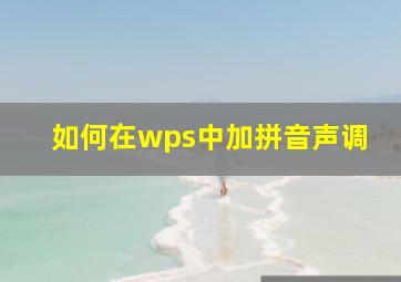 如何在wps中加拼音声调