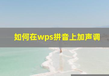 如何在wps拼音上加声调