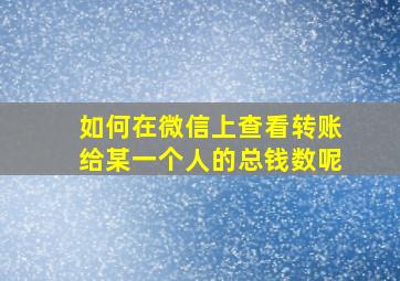 如何在微信上查看转账给某一个人的总钱数呢