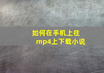 如何在手机上往mp4上下载小说