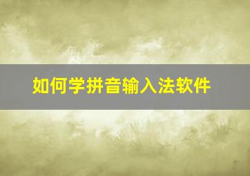 如何学拼音输入法软件