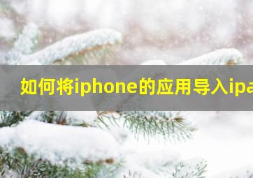 如何将iphone的应用导入ipad