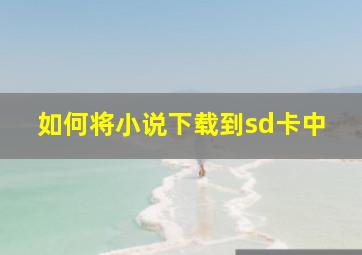 如何将小说下载到sd卡中