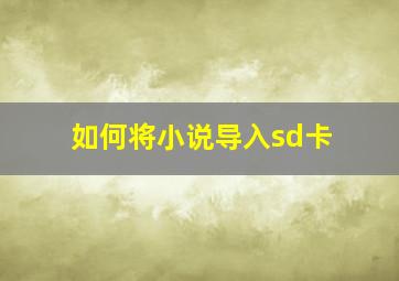 如何将小说导入sd卡