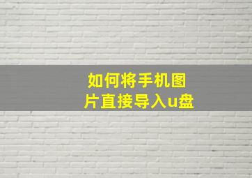 如何将手机图片直接导入u盘