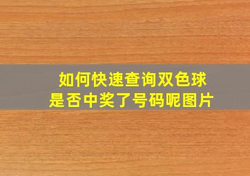 如何快速查询双色球是否中奖了号码呢图片