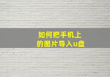 如何把手机上的图片导入u盘