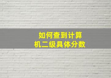 如何查到计算机二级具体分数