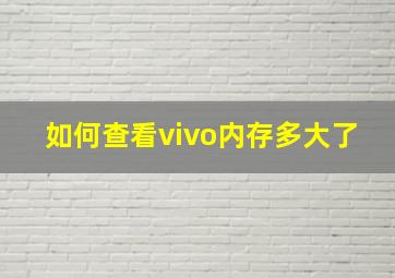 如何查看vivo内存多大了