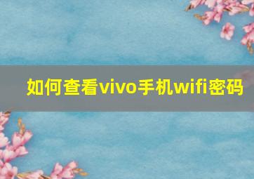 如何查看vivo手机wifi密码