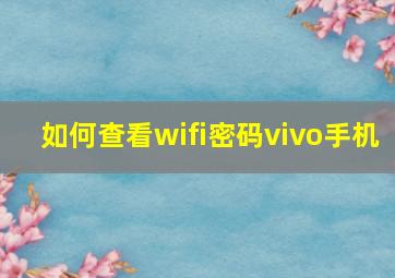 如何查看wifi密码vivo手机