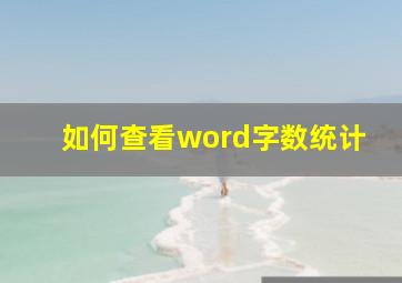 如何查看word字数统计