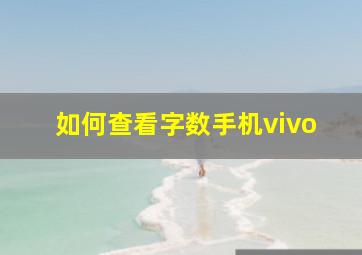 如何查看字数手机vivo