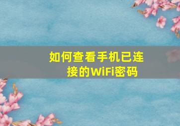 如何查看手机已连接的WiFi密码