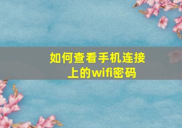 如何查看手机连接上的wifi密码