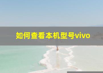 如何查看本机型号vivo