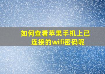 如何查看苹果手机上已连接的wifi密码呢