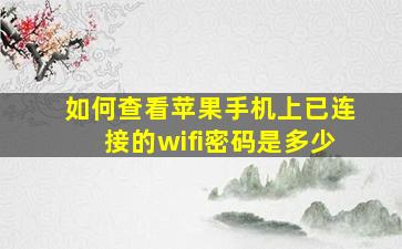 如何查看苹果手机上已连接的wifi密码是多少