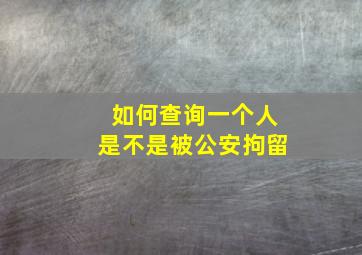 如何查询一个人是不是被公安拘留