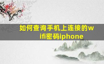 如何查询手机上连接的wifi密码iphone