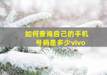 如何查询自己的手机号码是多少vivo