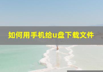 如何用手机给u盘下载文件