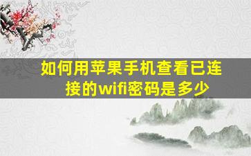 如何用苹果手机查看已连接的wifi密码是多少