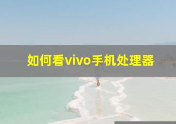 如何看vivo手机处理器