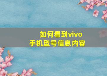 如何看到vivo手机型号信息内容