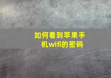 如何看到苹果手机wifi的密码