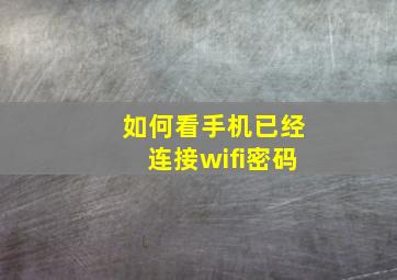 如何看手机已经连接wifi密码