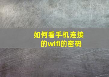 如何看手机连接的wifi的密码