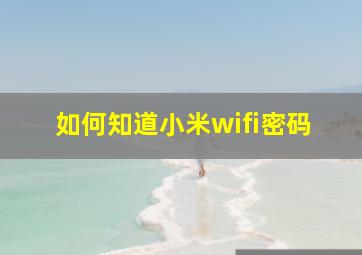 如何知道小米wifi密码