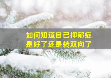 如何知道自己抑郁症是好了还是转双向了