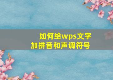 如何给wps文字加拼音和声调符号