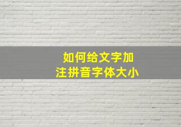 如何给文字加注拼音字体大小