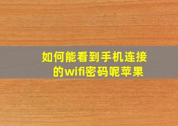 如何能看到手机连接的wifi密码呢苹果