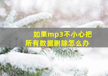 如果mp3不小心把所有数据删除怎么办