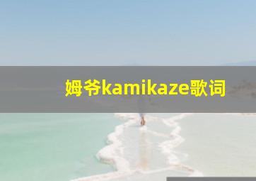 姆爷kamikaze歌词