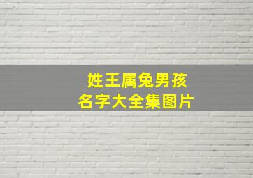 姓王属兔男孩名字大全集图片