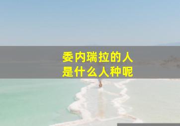 委内瑞拉的人是什么人种呢