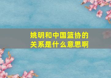 姚明和中国篮协的关系是什么意思啊