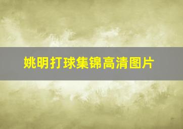 姚明打球集锦高清图片