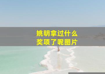 姚明拿过什么奖项了呢图片