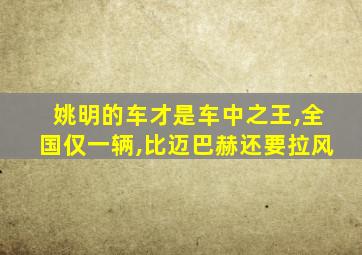 姚明的车才是车中之王,全国仅一辆,比迈巴赫还要拉风