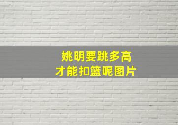 姚明要跳多高才能扣篮呢图片