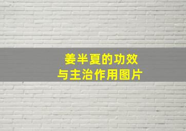 姜半夏的功效与主治作用图片